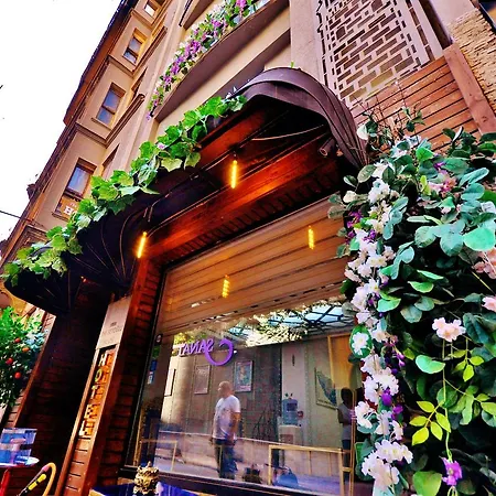The Beyoglu House